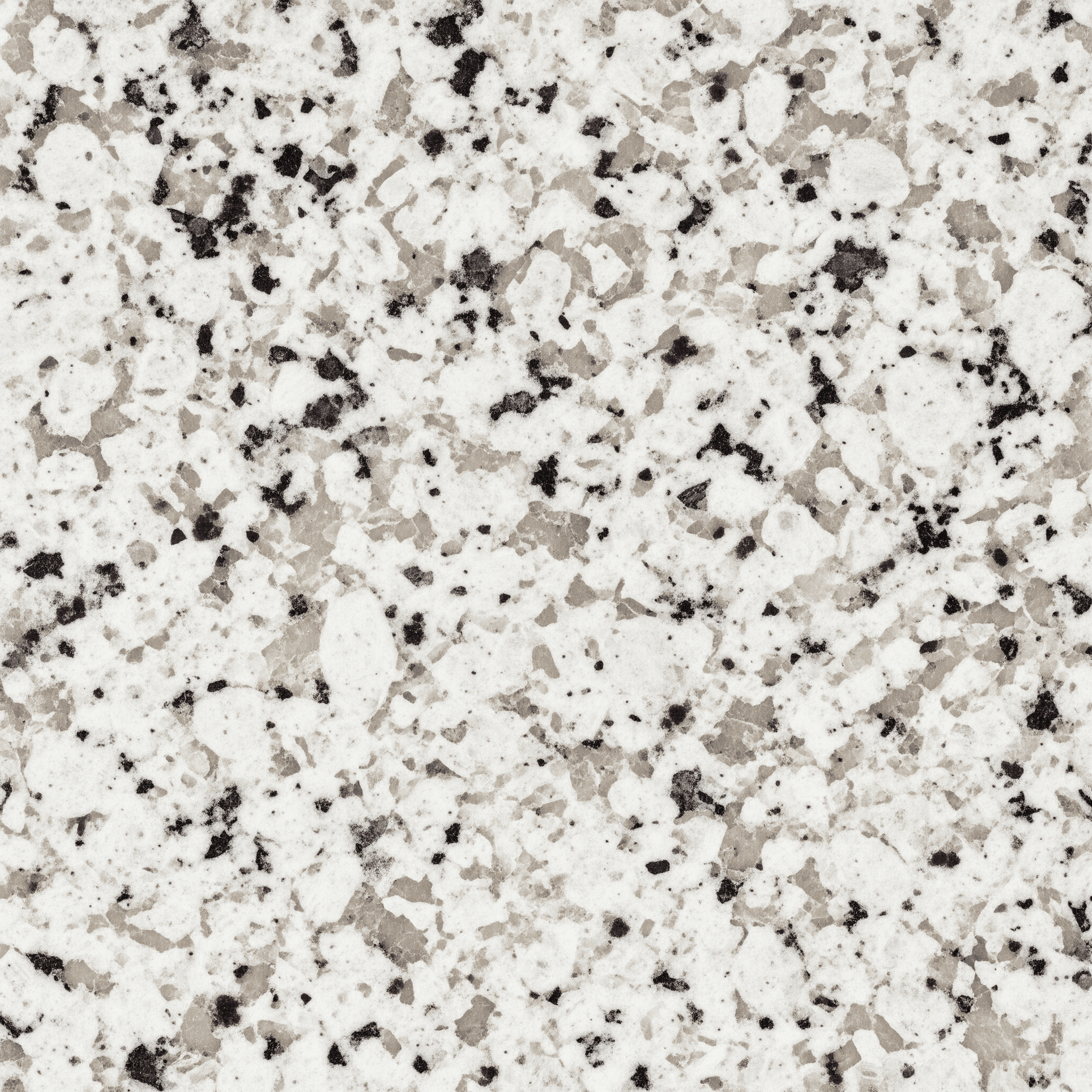 Ornamental White granite — polished surface with peppered black and beige speckles on a bright white base
