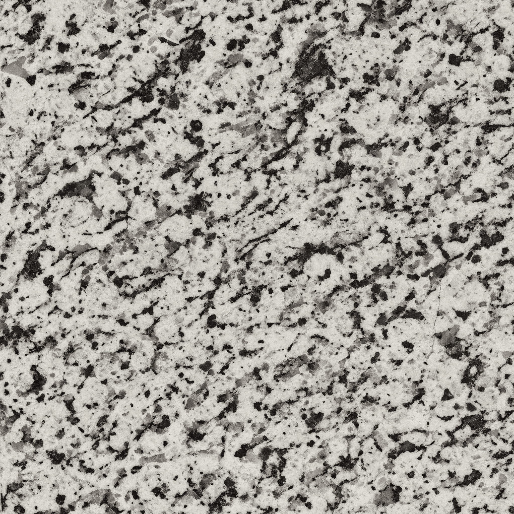 Valle Nevado (Valle Guidoni) granite — cool white-gray base with dense black and charcoal granular speckles