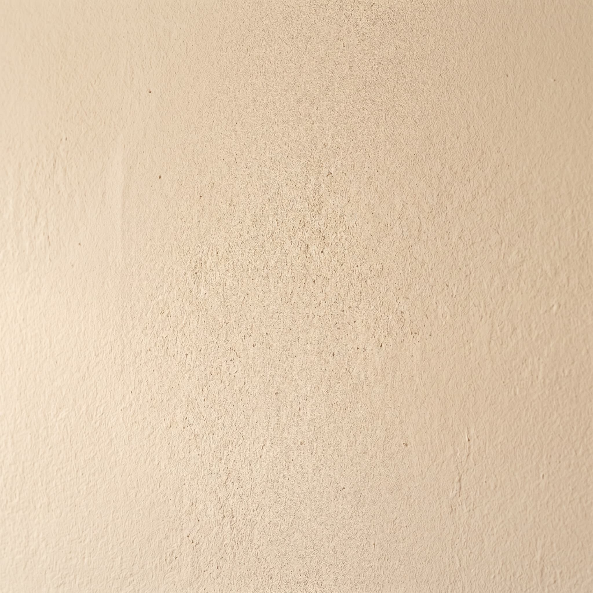 Sherwin-Williams flat light almond interior paint swatch on plaster wall